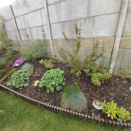 Vendégház Thamasy 3*