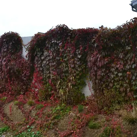 Thamasy Spišské Tomášovce