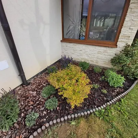 Thamasy 招待所 3*