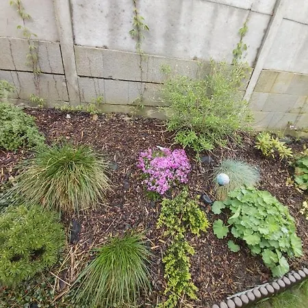 招待所 Thamasy 3*