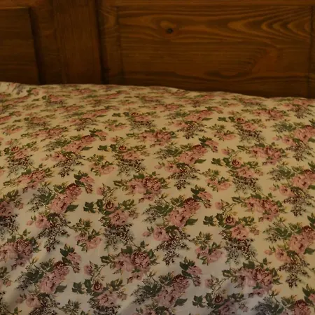 Thamasy 招待所 Spišské Tomášovce