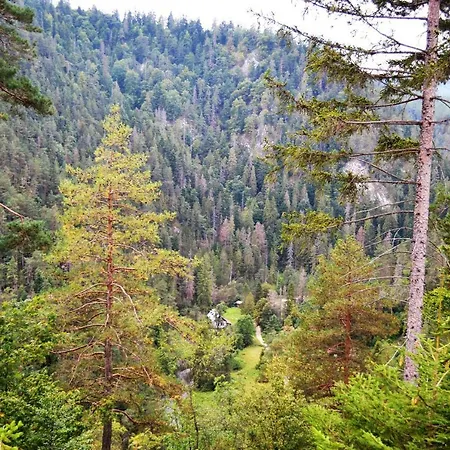 Thamasy 게스트하우스 3*